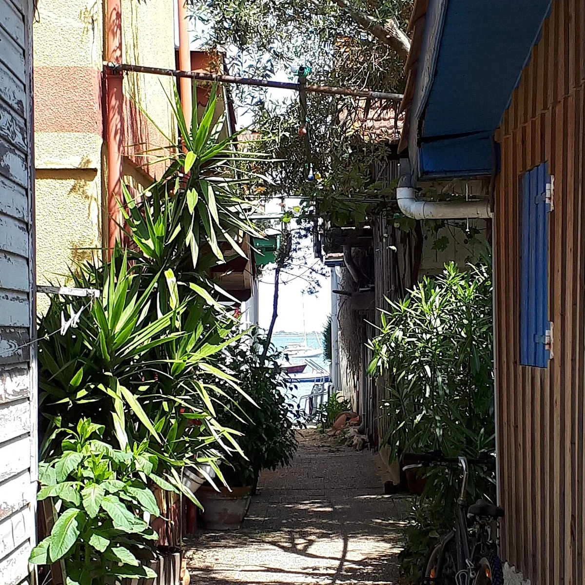 Une ruelle entre les cabanes du village ostréicole de L’Herbe.